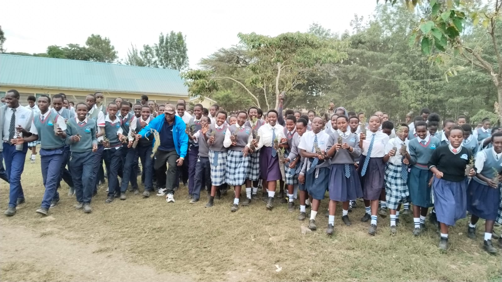 TREE PLANTING TO SUPPORT GREEN ECONOMY